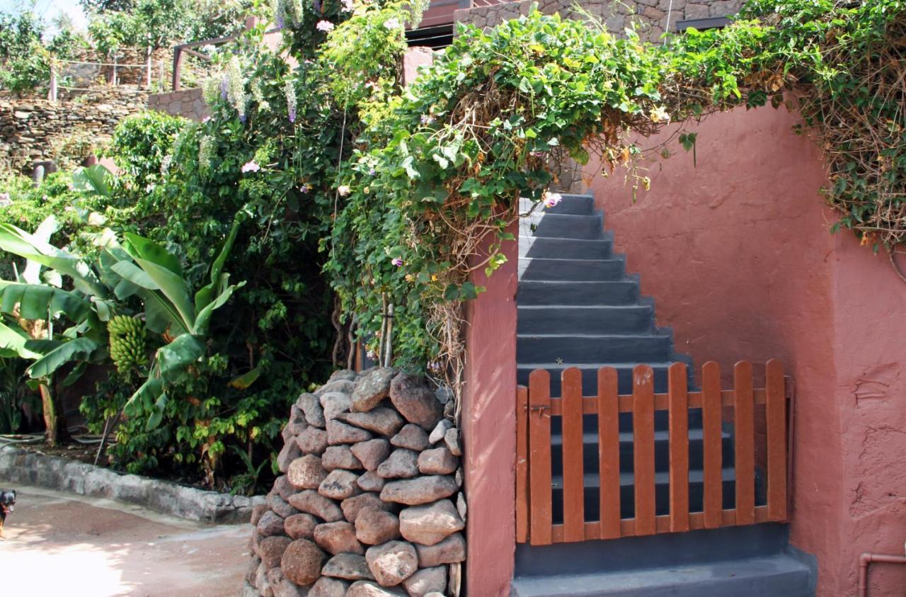 Tonono'S Village Santa Maria de Guia de Gran Canaria ภายนอก รูปภาพ