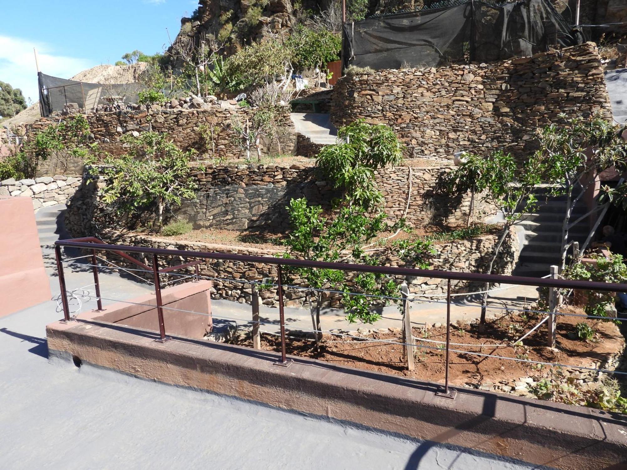 Tonono'S Village Santa Maria de Guia de Gran Canaria ภายนอก รูปภาพ